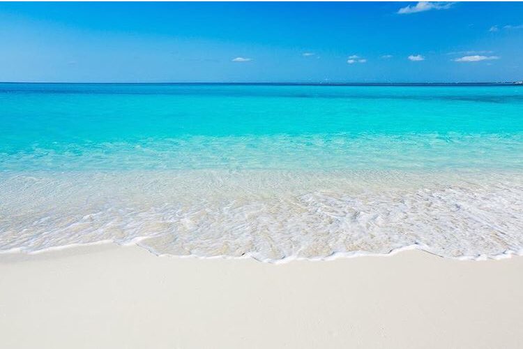 E661BFCA-DD42-4594-8910-B0289458CA27